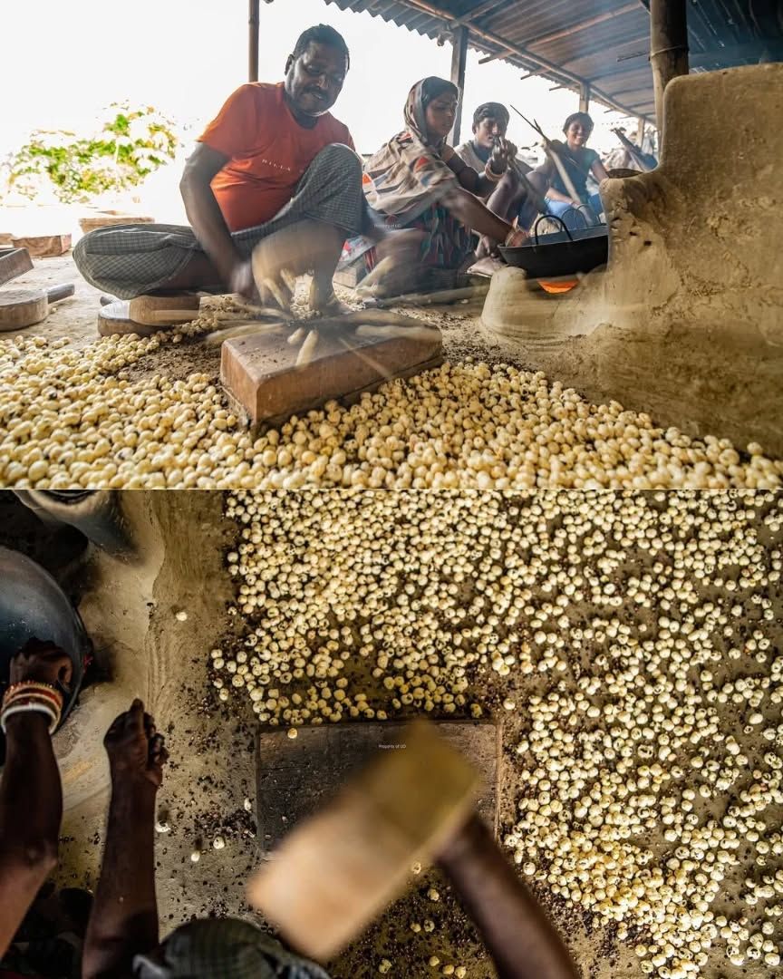 Where Quality Meets Reliability in Every Grain